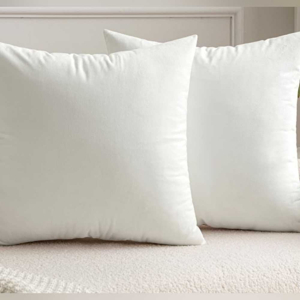 Pack Of 2 Velvet Throw Pillow Covers